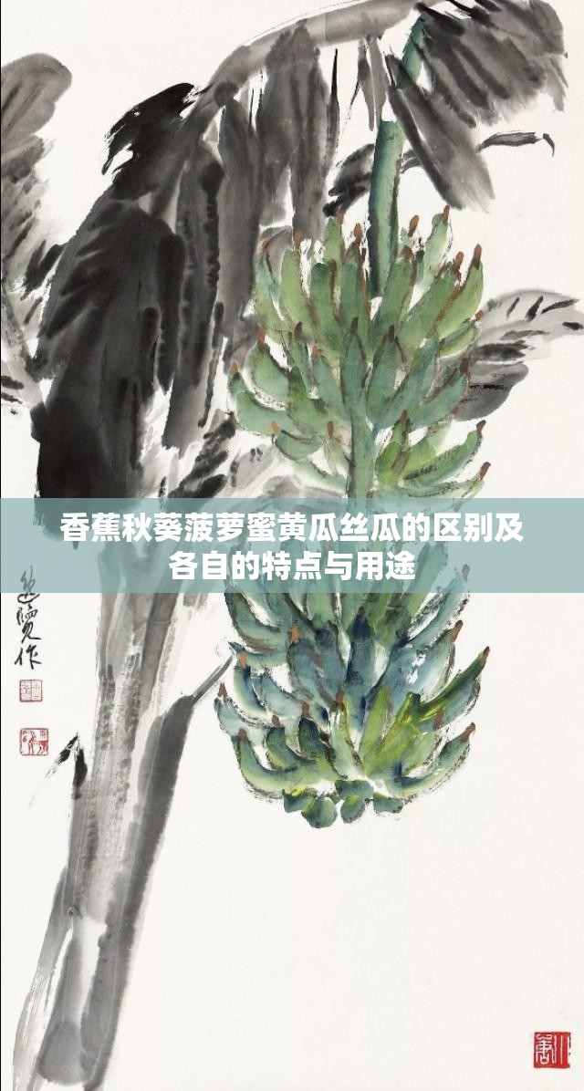 香蕉秋葵菠萝蜜黄瓜丝瓜的区别及各自的特点与用途