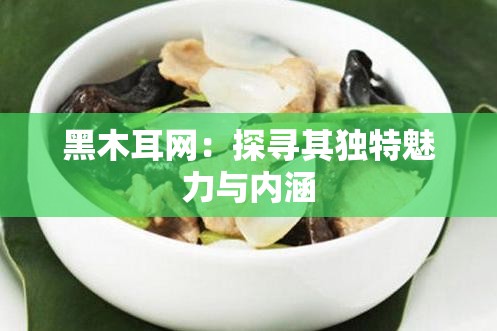 黑木耳网：探寻其独特魅力与内涵