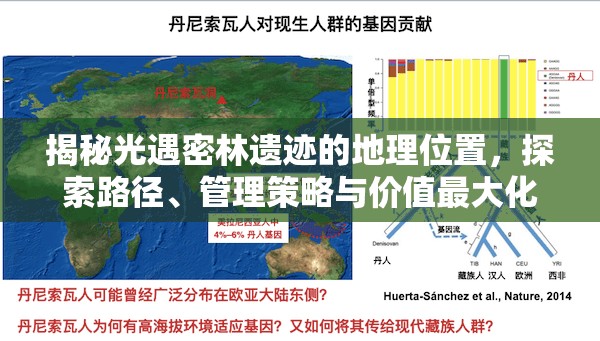 揭秘光遇密林遗迹的地理位置，探索路径、管理策略与价值最大化指南