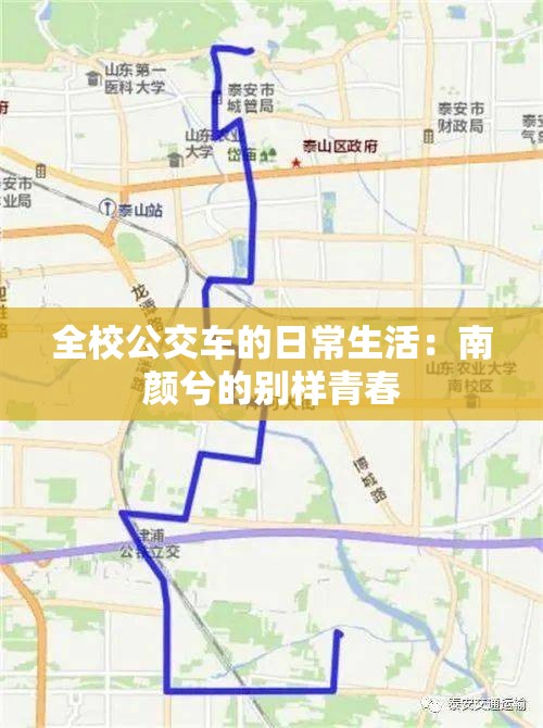 全校公交车的日常生活：南颜兮的别样青春