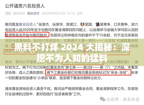 黑料不打烊 2024 大揭秘：深挖不为人知的猛料