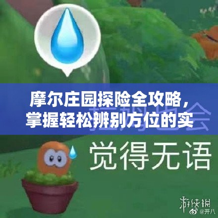 摩尔庄园探险全攻略，掌握轻松辨别方位的实用秘籍与技巧