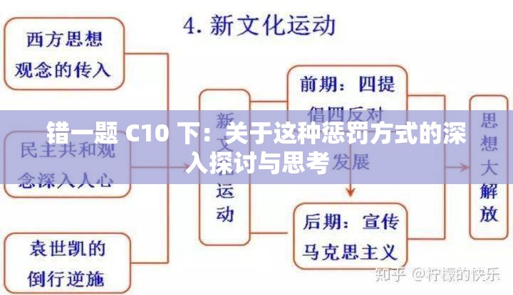 错一题 C10 下：关于这种惩罚方式的深入探讨与思考