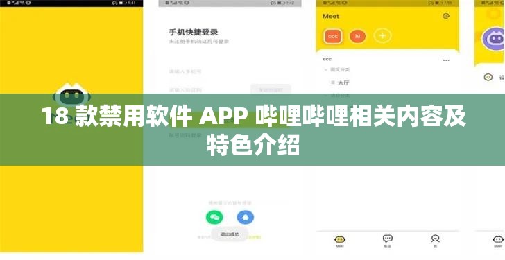 18 款禁用软件 APP 哔哩哔哩相关内容及特色介绍