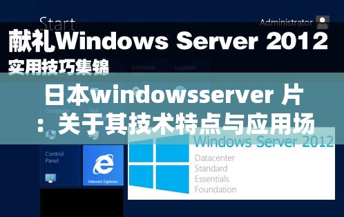 日本windowsserver 片：关于其技术特点与应用场景的深入探讨