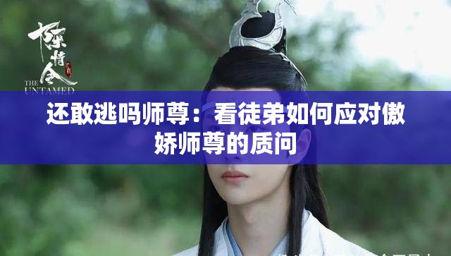 还敢逃吗师尊：看徒弟如何应对傲娇师尊的质问