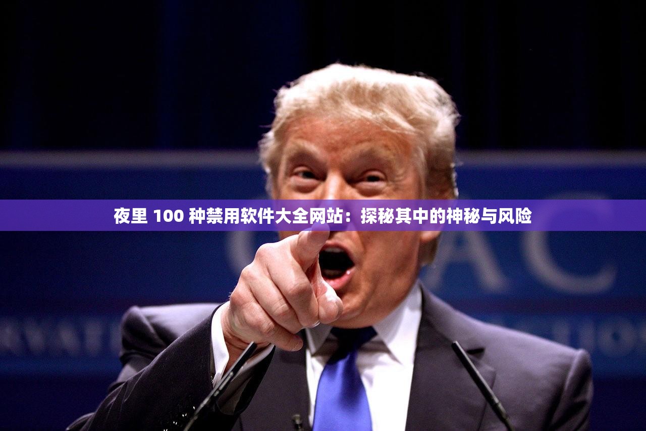 夜里 100 种禁用软件大全网站：探秘其中的神秘与风险