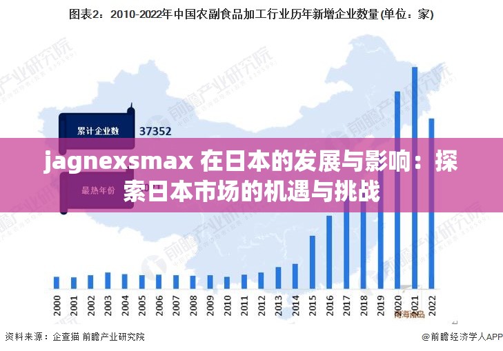 jagnexsmax 在日本的发展与影响：探索日本市场的机遇与挑战