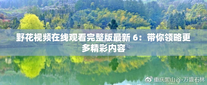 野花视频在线观看完整版最新 6：带你领略更多精彩内容