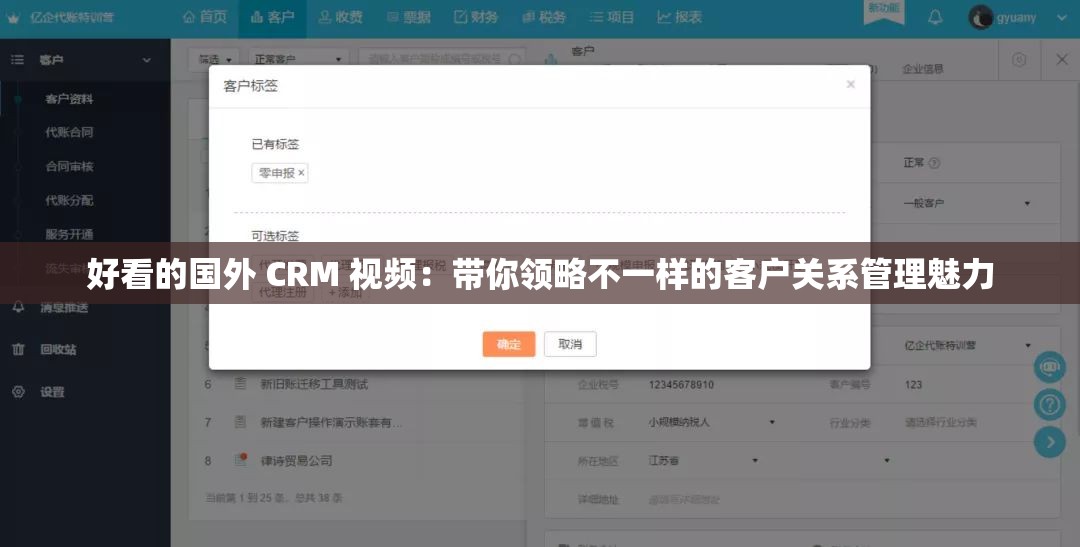 好看的国外 CRM 视频：带你领略不一样的客户关系管理魅力