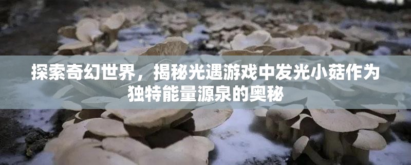 探索奇幻世界，揭秘光遇游戏中发光小菇作为独特能量源泉的奥秘