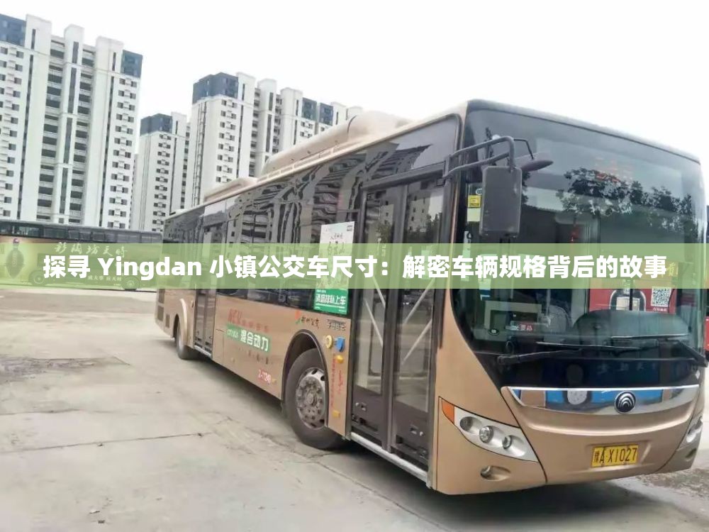 探寻 Yingdan 小镇公交车尺寸：解密车辆规格背后的故事