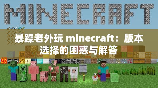 暴躁老外玩 minecraft：版本选择的困惑与解答