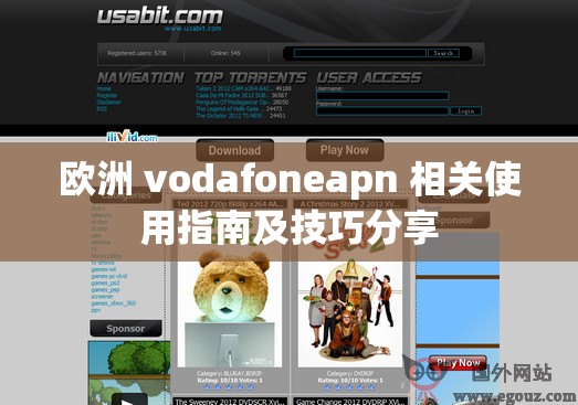 欧洲 vodafoneapn 相关使用指南及技巧分享