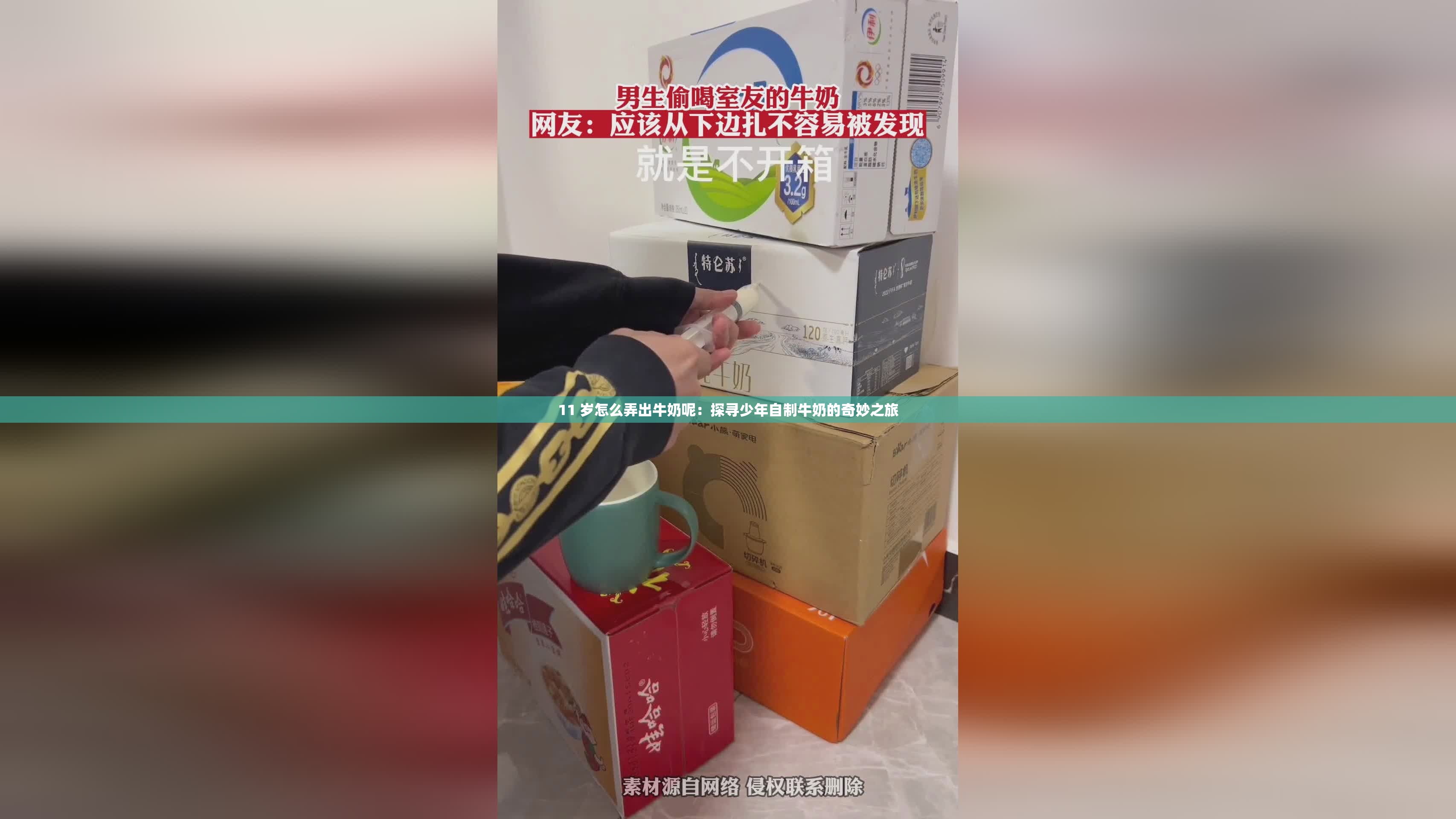 11 岁怎么弄出牛奶呢：探寻少年自制牛奶的奇妙之旅