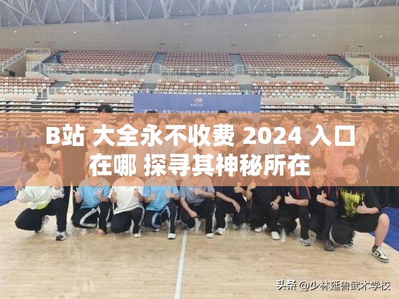 B站 大全永不收费 2024 入口在哪 探寻其神秘所在