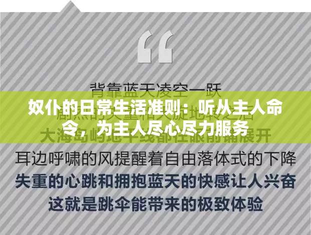 奴仆的日常生活准则：听从主人命令，为主人尽心尽力服务