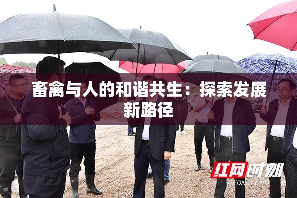 畜禽与人的和谐共生：探索发展新路径