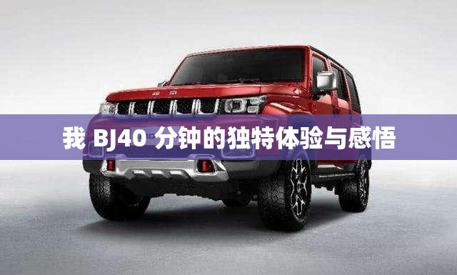 我 BJ40 分钟的独特体验与感悟