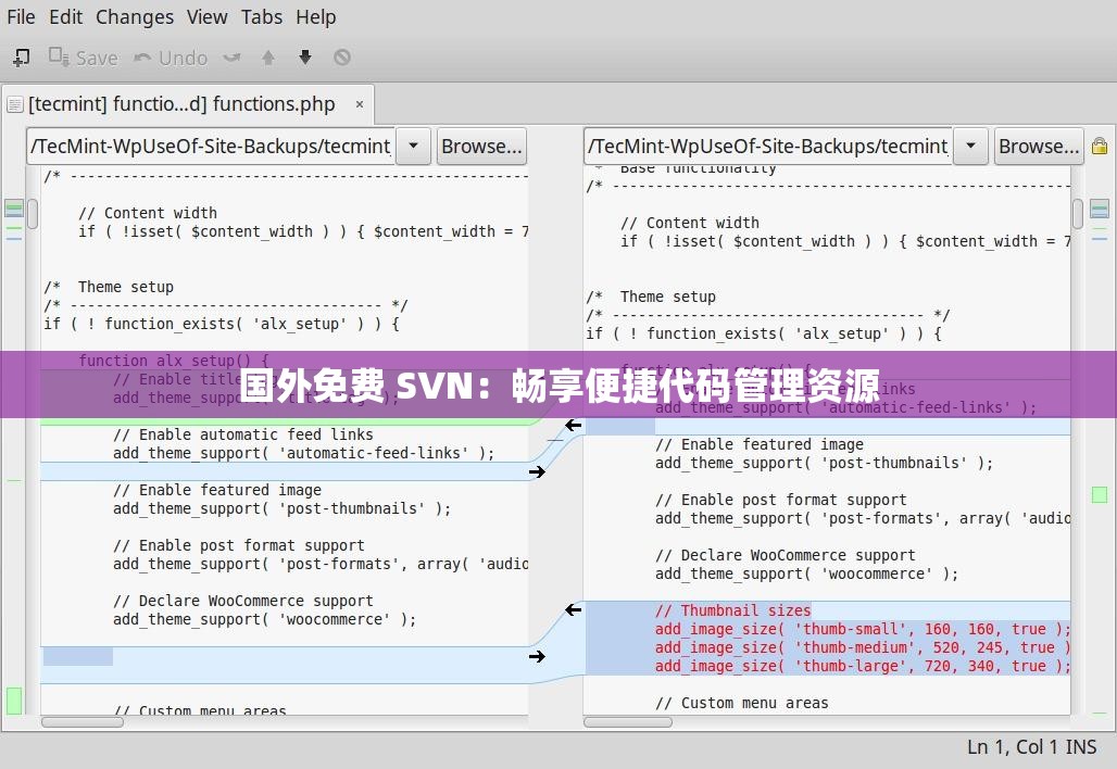 国外免费 SVN：畅享便捷代码管理资源