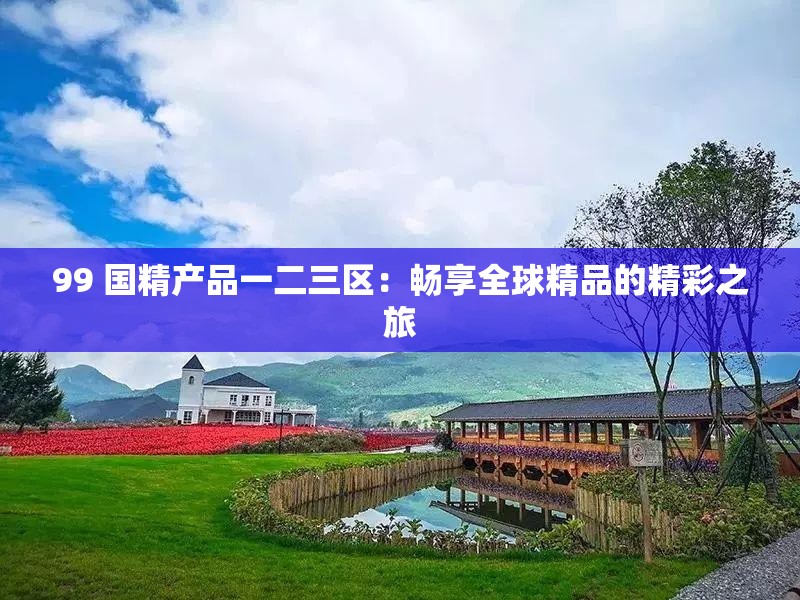 99 国精产品一二三区：畅享全球精品的精彩之旅