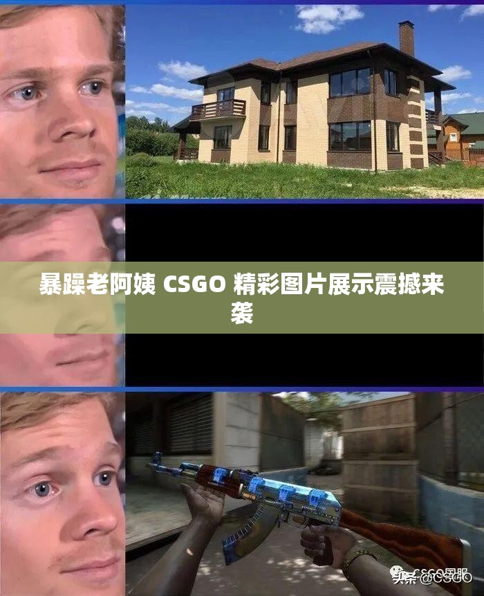 暴躁老阿姨 CSGO 精彩图片展示震撼来袭