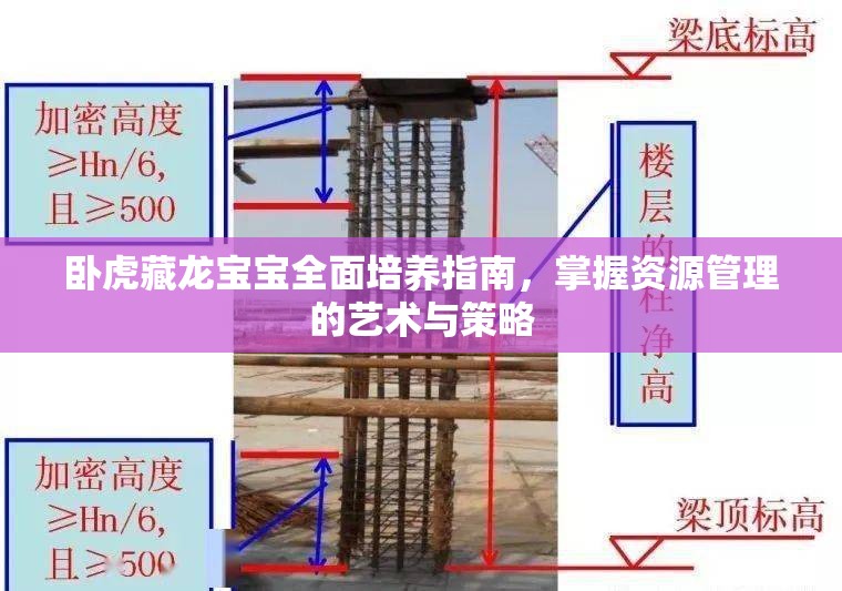 卧虎藏龙宝宝全面培养指南，掌握资源管理的艺术与策略