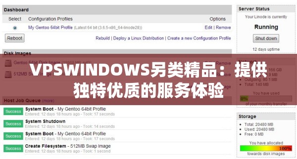 VPSWINDOWS另类精品：提供独特优质的服务体验