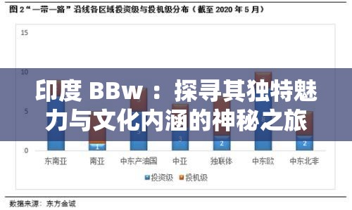 印度 BBw ：探寻其独特魅力与文化内涵的神秘之旅