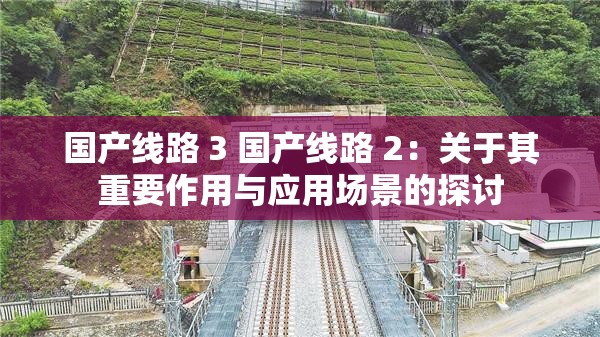 国产线路 3 国产线路 2：关于其重要作用与应用场景的探讨