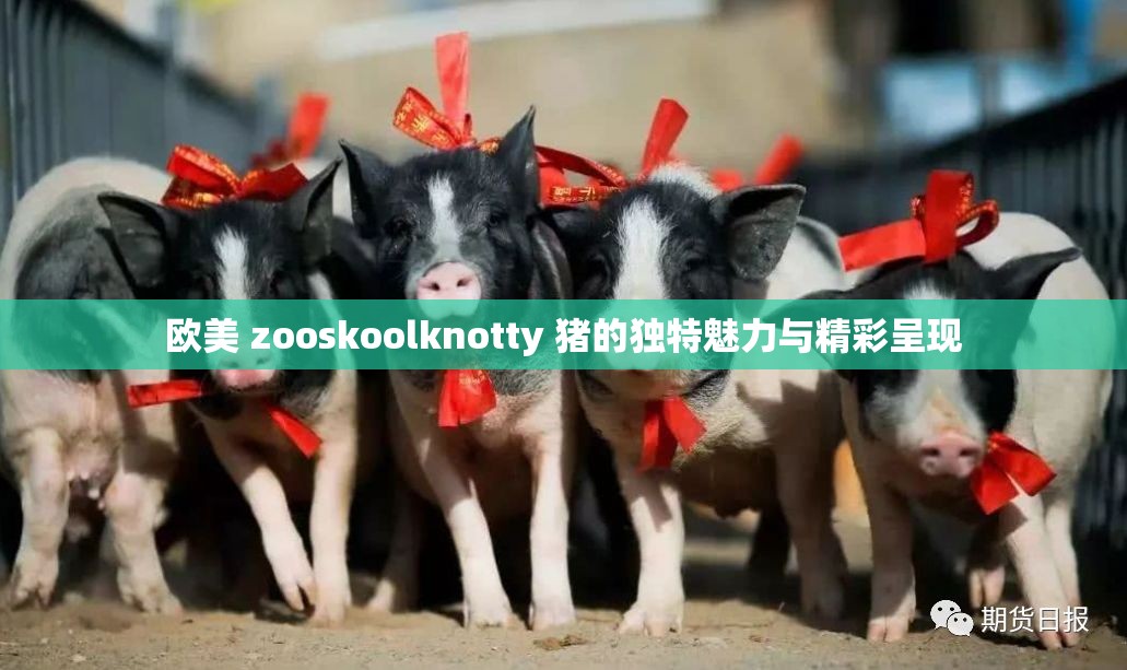 欧美 zooskoolknotty 猪的独特魅力与精彩呈现