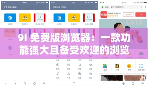 9I 免费版浏览器：一款功能强大且备受欢迎的浏览器