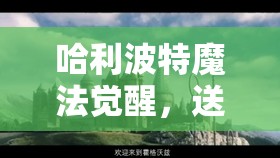 哈利波特魔法觉醒，送皮肤攻略大揭秘，让你的友谊在魔法世界中闪耀独特光芒