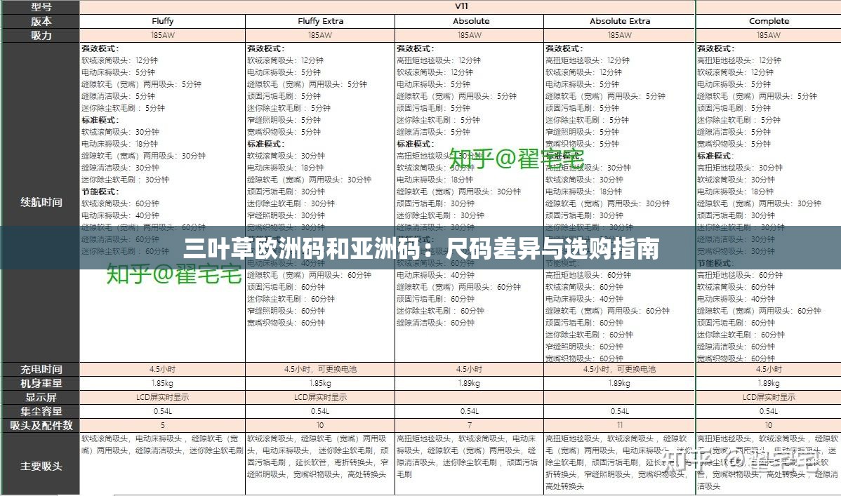 三叶草欧洲码和亚洲码：尺码差异与选购指南