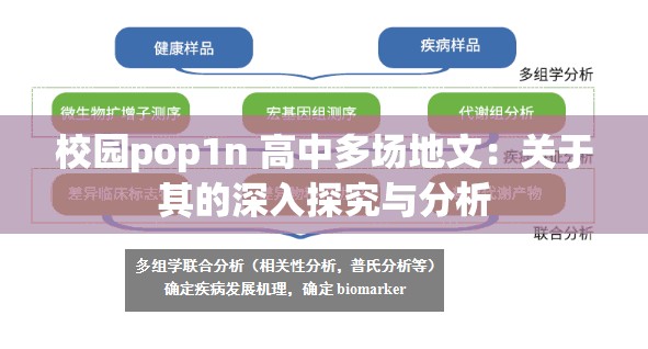 校园pop1n 高中多场地文：关于其的深入探究与分析