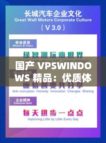 国产 VPSWINDOWS 精品：优质体验不容错过