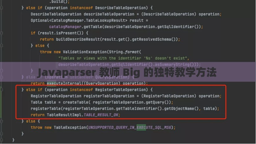 Javaparser 教师 Big 的独特教学方法