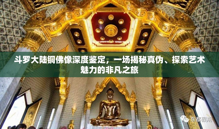 斗罗大陆铜佛像深度鉴定，一场揭秘真伪、探索艺术魅力的非凡之旅