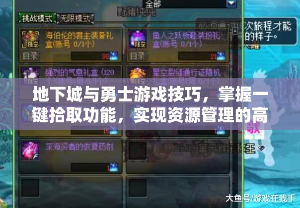 地下城与勇士游戏技巧，掌握一键拾取功能，实现资源管理的高效艺术