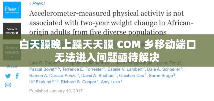 白天躁晚上躁天天躁 COM 乡移动端口无法进入问题亟待解决