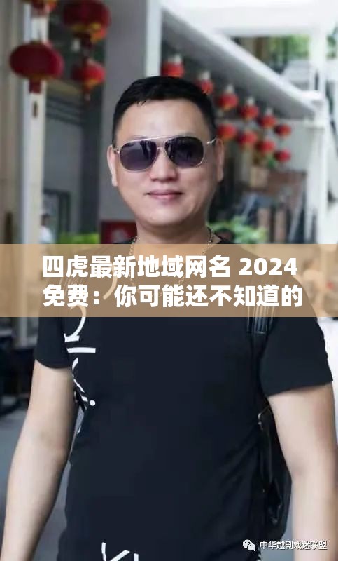 四虎最新地域网名 2024 免费：你可能还不知道的秘密