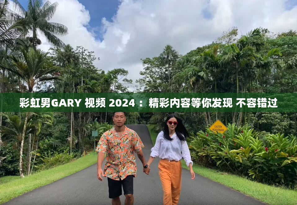 彩虹男GARY 视频 2024 ：精彩内容等你发现 不容错过