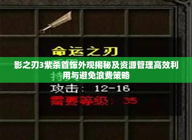 影之刃3紫杀首饰外观揭秘及资源管理高效利用与避免浪费策略