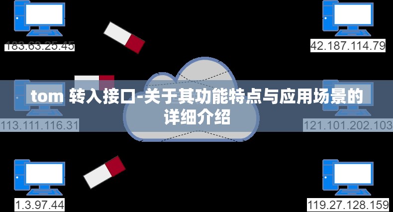 tom 转入接口-关于其功能特点与应用场景的详细介绍