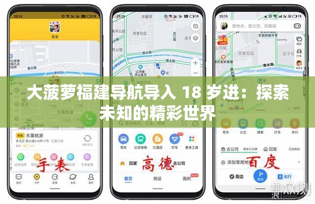 大菠萝福建导航导入 18 岁进：探索未知的精彩世界