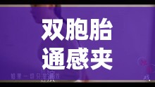 双胞胎通感夹心双男主：他们之间独特的情感与命运纠葛