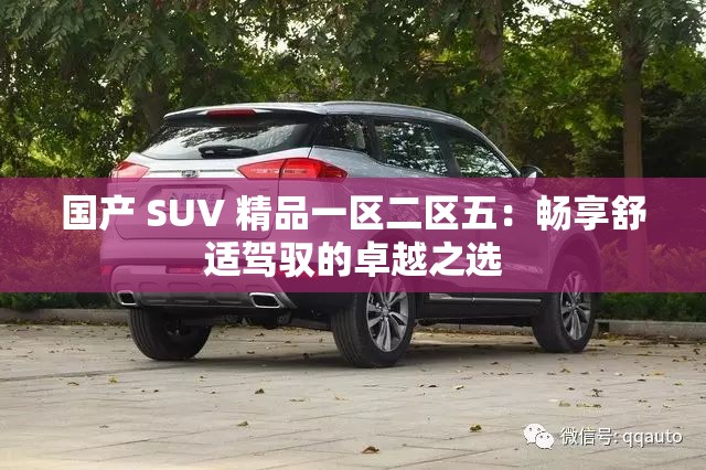 国产 SUV 精品一区二区五：畅享舒适驾驭的卓越之选