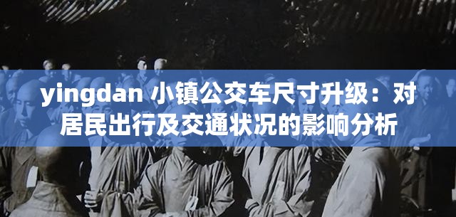 yingdan 小镇公交车尺寸升级：对居民出行及交通状况的影响分析