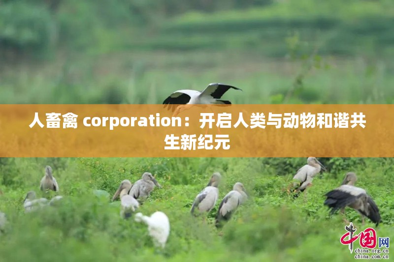 人畜禽 corporation：开启人类与动物和谐共生新纪元