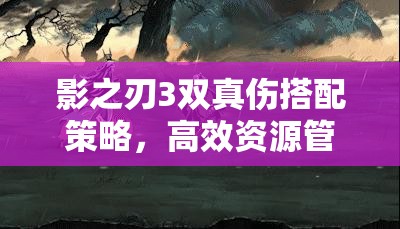 影之刃3双真伤搭配策略，高效资源管理、实战技巧与最大化伤害价值解析